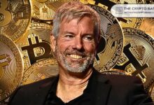 Michael Saylor Reacciona a la Propuesta de Viaje en el Tiempo para Recuperar 10,000 BTC del Acuerdo de Pizza de 2010: ¿Descubre Más? - Cripto Boom