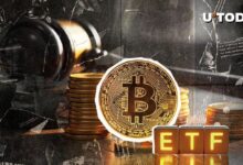 ¿Qué Sigue para los ETFs de Bitcoin? Analista Principal Opina sobre la Nueva Aprobación de la SEC - Cripto Boom