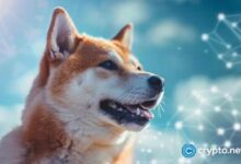 ¡El precio de Dogecoin se dispara! Volumen e interés abierto en aumento - Cripto Boom