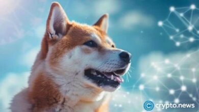 ¡El precio de Dogecoin se dispara! Volumen e interés abierto en aumento - Cripto Boom