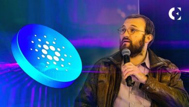 Hoskinson: Cadena de Evidencia Fuerte, Clave para el Desarrollo Blockchain – Descubre por Qué - Cripto Boom