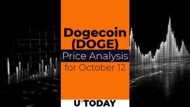 Predicción del Precio de DOGE para el 12 de Octubre: ¡Descubre el Futuro del Mercado! - Cripto Boom