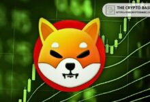 ¡Shiba Inu lista para un aumento del 400%!: Formación de bandera alcista apunta a $0.000074 - Cripto Boom