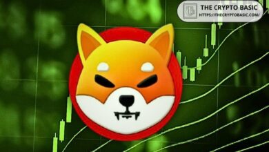 ¡Shiba Inu lista para un aumento del 400%!: Formación de bandera alcista apunta a $0.000074 - Cripto Boom