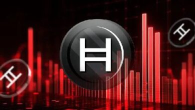¿Seguirá Hedera en Tendencia Bajista? Niveles Clave a Observar - Cripto Boom
