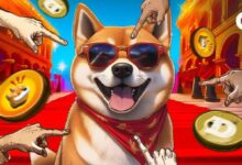 ¡Dogecoin y Bonk en Alza! Expertos Advierten de Posible Corrección del Mercado - Cripto Boom