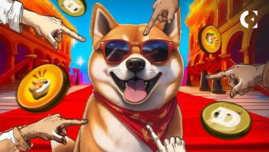 ¡Dogecoin y Bonk en Alza! Expertos Advierten de Posible Corrección del Mercado - Cripto Boom