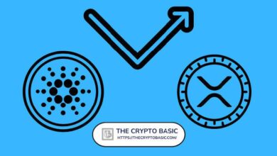Inversor Inmobiliario Aconseja Vender XRP y Cardano para Comprar Bitcoin: Descubre Por Qué - Cripto Boom