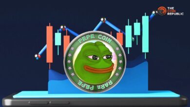 Precio de PEPE se Consolida: ¡Posible Ruptura en Noviembre! - Cripto Boom