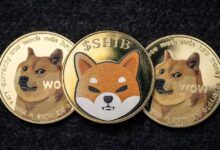 Una canasta de destacados memecoins supera a Bitcoin (BTC) y S&P500 en 2024: ¡Descubre qué impulsó su éxito! - Cripto Boom