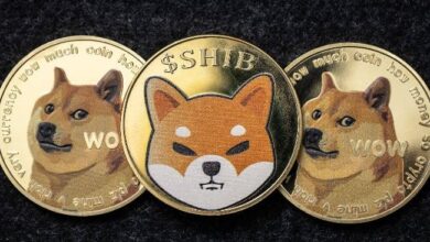 Una canasta de destacados memecoins supera a Bitcoin (BTC) y S&P500 en 2024: ¡Descubre qué impulsó su éxito! - Cripto Boom