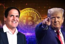 Mark Cuban sobre la Política Transaccional de Trump y la Influencia de los Ballenas: Descubre Más - Cripto Boom