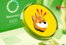 ¡El Precio de BONK Podría Aumentar un 20% Mientras los Toros Toman el Control! - Cripto Boom
