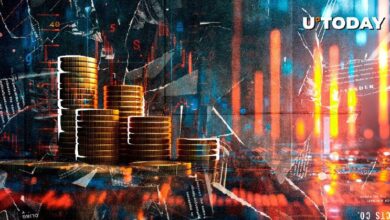 El Mercado de Criptomonedas Muestra Niveles de Avaricia No Vistos Desde Julio: Descubre Más - Cripto Boom