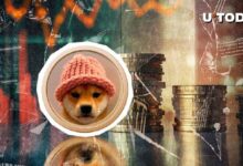 Principales Criptomonedas Meme en Solana: WIF de dogwifhat Forma un Patrón Decisivo - ¡Descúbrelo! - Cripto Boom