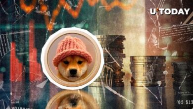 Principales Criptomonedas Meme en Solana: WIF de dogwifhat Forma un Patrón Decisivo - ¡Descúbrelo! - Cripto Boom