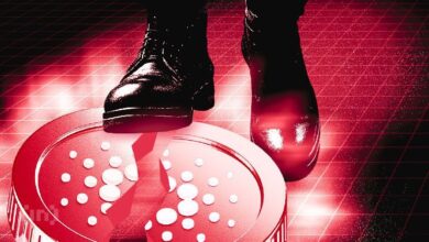 El Interés Abierto de Cardano (ADA) Cae a Mínimos de 16 Meses: ¿Se Avecina una Caída del 21% en su Precio? ¡Descúbrelo! - Cripto Boom