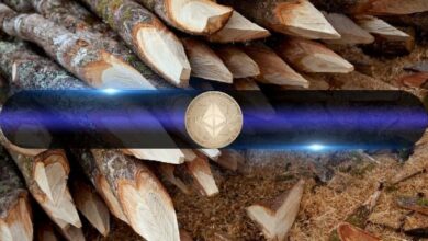"Centralización Potencialmente Preocupante: Principales Participantes de Ethereum Controlan el 48% del ETH Apostado" - Cripto Boom