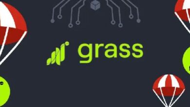 Lanzamiento del Airdrop GRASS One el 28 de octubre de 2024: ¡No te lo pierdas! - Cripto Boom