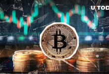 MicroStrategy, Coinbase y Acciones en Verde: ¿Te Aprovechas del Auge de Bitcoin? - Cripto Boom