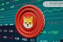 Descubre por qué el precio de Shiba Inu podría desafiar el sentimiento del mercado - Cripto Boom
