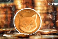 Shiba Inu (SHIB) al Borde de un Cruce Dorado: Descubre los Posibles Escenarios - Cripto Boom