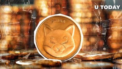Shiba Inu (SHIB) al Borde de un Cruce Dorado: Descubre los Posibles Escenarios - Cripto Boom