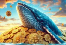 ¡Colosal Ballena de Bitcoin “Manos de Diamante” Pierde la Paciencia y Vende Después de 5 Años! ¡Descubre Su Asombrosa Ganancia! - Cripto Boom