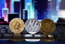 ApeCoin DAO Cierra Cuatro Grupos Ineficaces: Descubre los Detalles - Cripto Boom