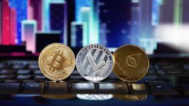 ApeCoin DAO Cierra Cuatro Grupos Ineficaces: Descubre los Detalles - Cripto Boom