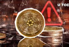 Comunidad Cardano Lanza Alerta Urgente de Estafa, ¡Descubre lo Sucedido! - Cripto Boom