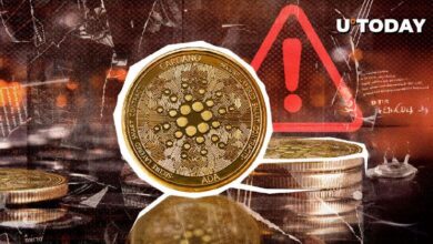 Comunidad Cardano Lanza Alerta Urgente de Estafa, ¡Descubre lo Sucedido! - Cripto Boom