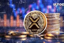 $754 Millones en XRP en 24 Horas: ¡Descubre Qué Sucede! - Cripto Boom