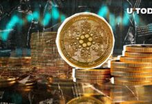 ¡Cardano Aumenta un 264% en Flujos Netos! ¿Comenzará ADA a Subir de Precio? - Cripto Boom