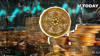 ¡Cardano Aumenta un 264% en Flujos Netos! ¿Comenzará ADA a Subir de Precio? - Cripto Boom