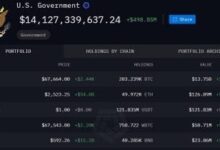 El Gobierno de EE. UU. mueve $20M en criptomonedas tras 8 meses de inactividad: ¡Descubre qué significa! - Cripto Boom