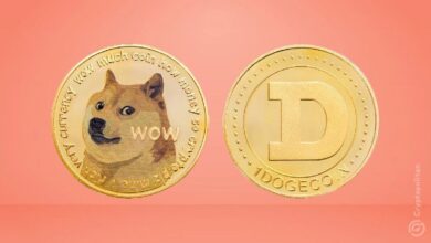 Tokens Meme Superan a DeFi: Únete al Debate en Redes Sociales - Cripto Boom