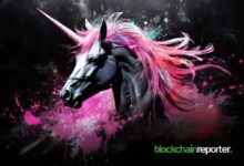 Uniswap a la Vanguardia: ¡Descubre el Aumento del Tráfico Web de DEX este Mes! - Cripto Boom