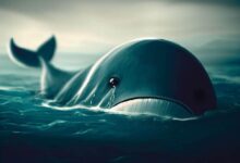 Ballena de Altcoins Masiva Se Rinde: ¡Descubre el Altcoin Vendido! - Cripto Boom
