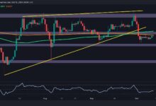 Análisis del Precio de Ripple: ¿XRP Se Dirige Hacia $0.5 o $0.6? Descubre Aquí - Cripto Boom