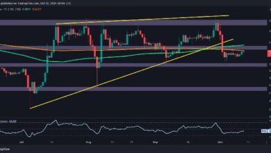 Análisis del Precio de Ripple: ¿XRP Se Dirige Hacia $0.5 o $0.6? Descubre Aquí - Cripto Boom