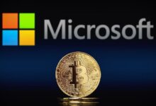 Perplexity AI predice el precio de las acciones de Microsoft ante propuesta de inversión en Bitcoin - ¡Descubre más! - Cripto Boom