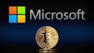 Perplexity AI predice el precio de las acciones de Microsoft ante propuesta de inversión en Bitcoin - ¡Descubre más! - Cripto Boom