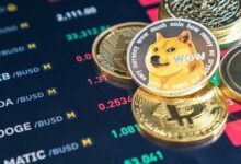 Precio de Dogecoin (DOGE) aumenta: ¡Descubre el auge de las monedas meme! - Cripto Boom