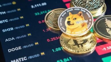 Precio de Dogecoin (DOGE) aumenta: ¡Descubre el auge de las monedas meme! - Cripto Boom