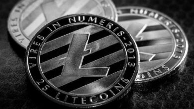Litecoin Celebra 13 Años con 77 Millones de Transacciones en 2024: Descubre los Logros Aquí - Cripto Boom