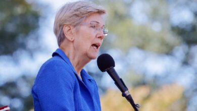 Warren Dice que Rival Político Deaton 'Defenderá las Criptomonedas' si es Electo para Sustituirla en el Senado - ¡Descubre más! - Cripto Boom