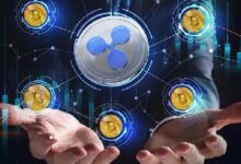 Custodia Ripple: Soluciones para el Crecimiento de los Intercambios Cripto - Cripto Boom