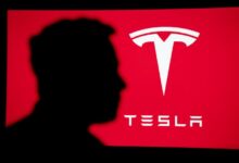 Predicción del precio de acciones de Tesla si Kamala Harris gana la Presidencia: Descubre el impacto ahora - Cripto Boom