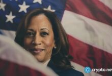¿Por qué Ripple apuesta en grande por Kamala Harris y sorprende a todos? ¡Descúbrelo ahora! - Cripto Boom
